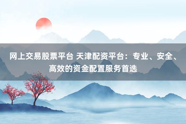 网上交易股票平台 天津配资平台：专业、安全、高效的资金配置服务首选