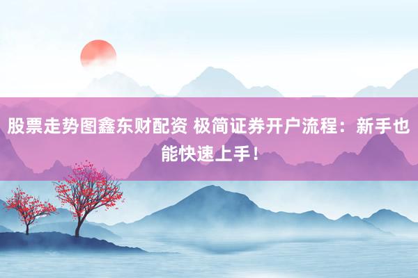 股票走势图鑫东财配资 极简证券开户流程：新手也能快速上手！