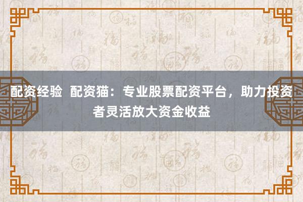 配资经验  配资猫：专业股票配资平台，助力投资者灵活放大资金收益