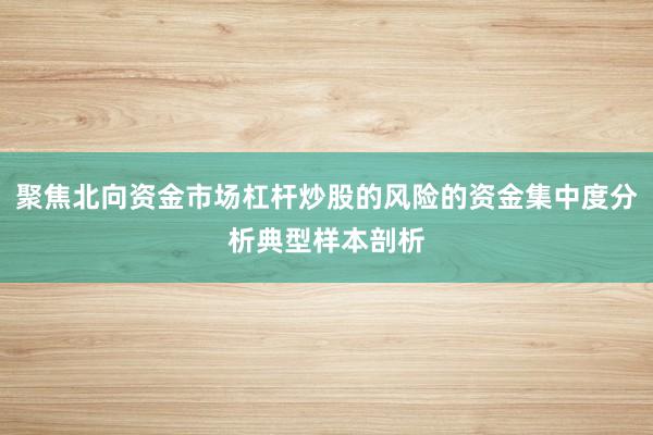 聚焦北向资金市场杠杆炒股的风险的资金集中度分析典型样本剖析
