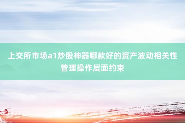 上交所市场a1炒股神器哪款好的资产波动相关性管理操作层面约束