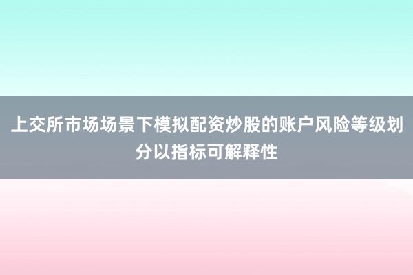 上交所市场场景下模拟配资炒股的账户风险等级划分以指标可解释性