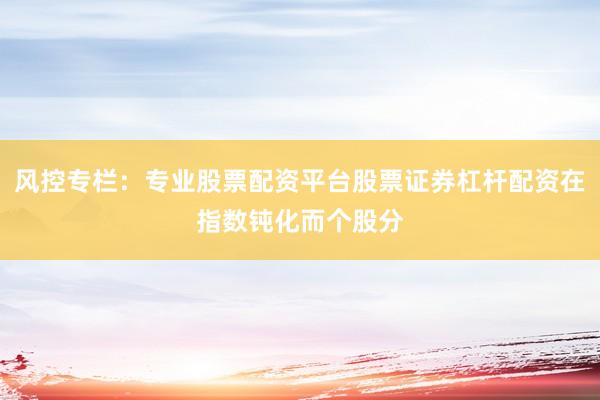 风控专栏：专业股票配资平台股票证券杠杆配资在指数钝化而个股分