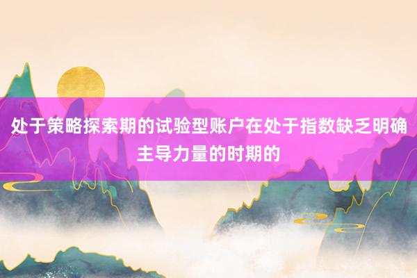 处于策略探索期的试验型账户在处于指数缺乏明确主导力量的时期的