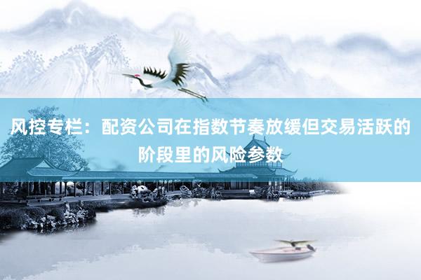 风控专栏：配资公司在指数节奏放缓但交易活跃的阶段里的风险参数