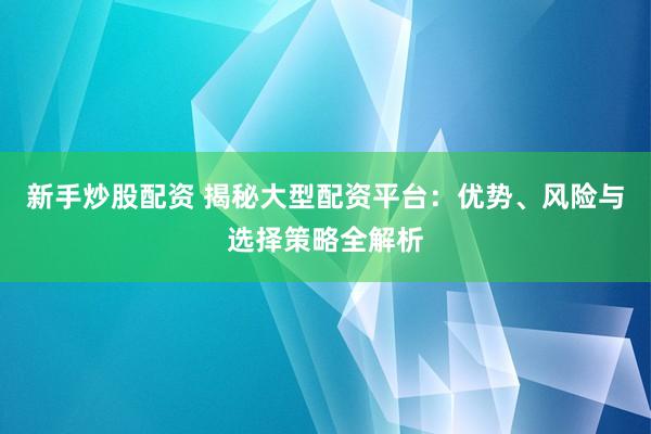 新手炒股配资 揭秘大型配资平台：优势、风险与选择策略全解析